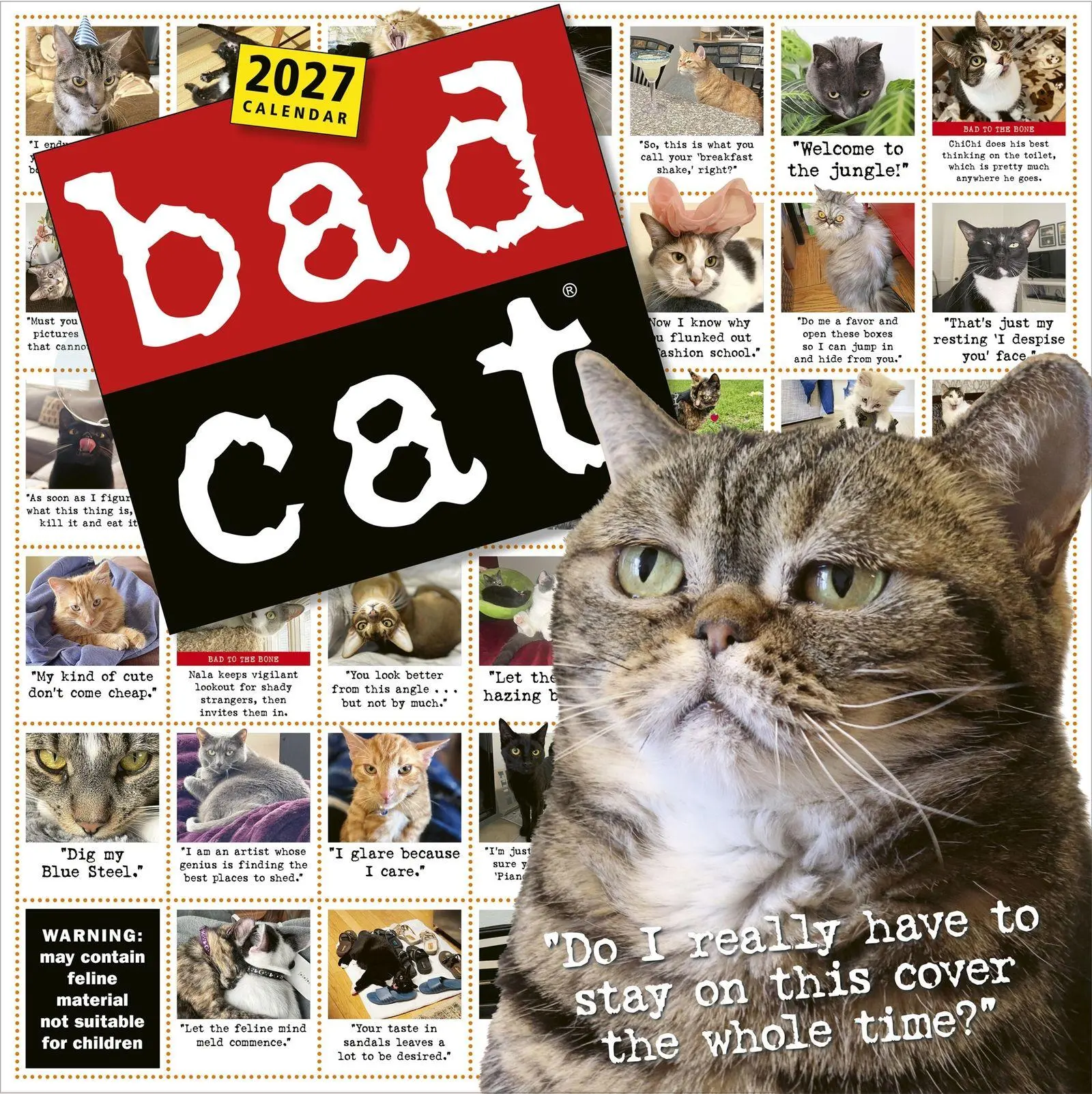 Cover: 9781523534739 | Bad Cat Wall Calendar 2027 | Harry Prichett (u. a.) | Kalender | 2027