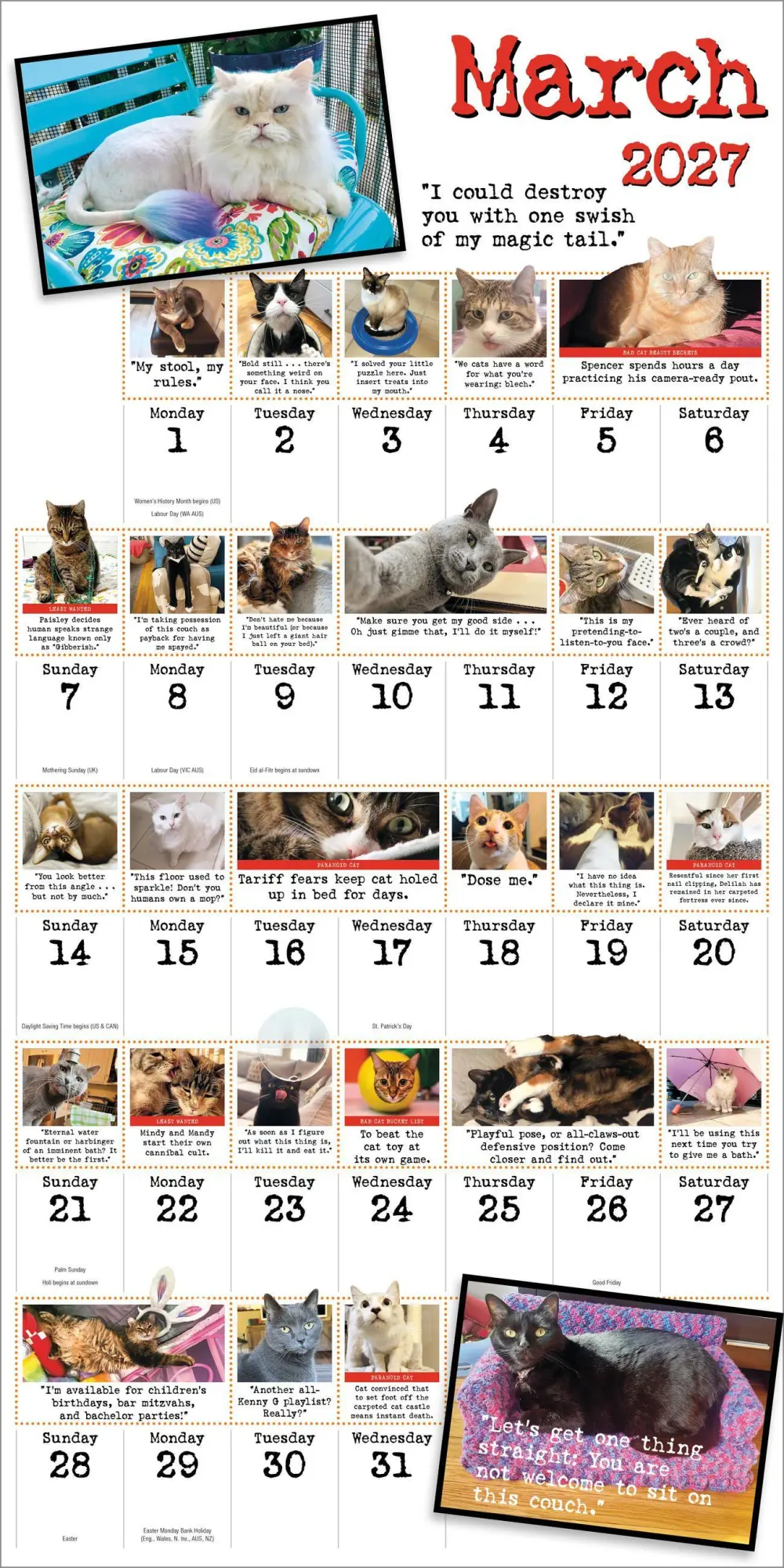 Bild: 9781523534739 | Bad Cat Wall Calendar 2027 | Harry Prichett (u. a.) | Kalender | 2027