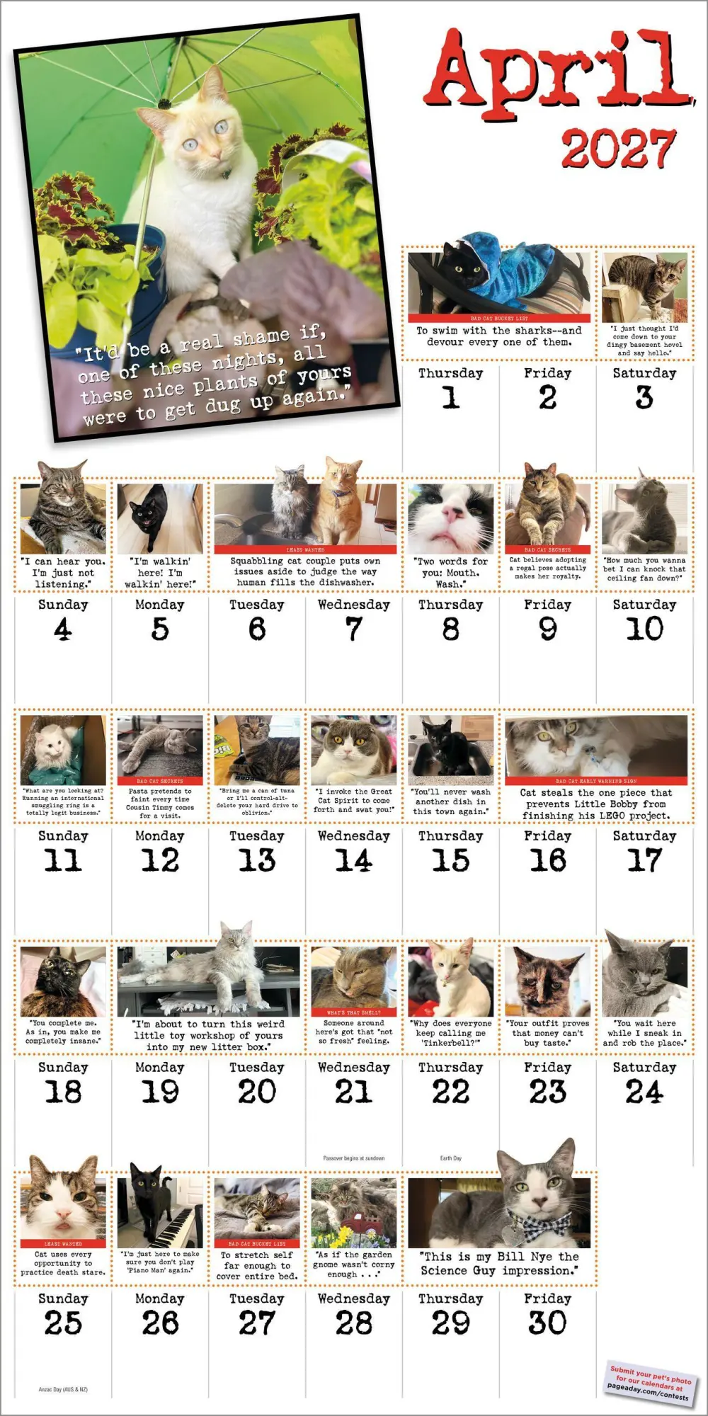 Bild: 9781523534739 | Bad Cat Wall Calendar 2027 | Harry Prichett (u. a.) | Kalender | 2027