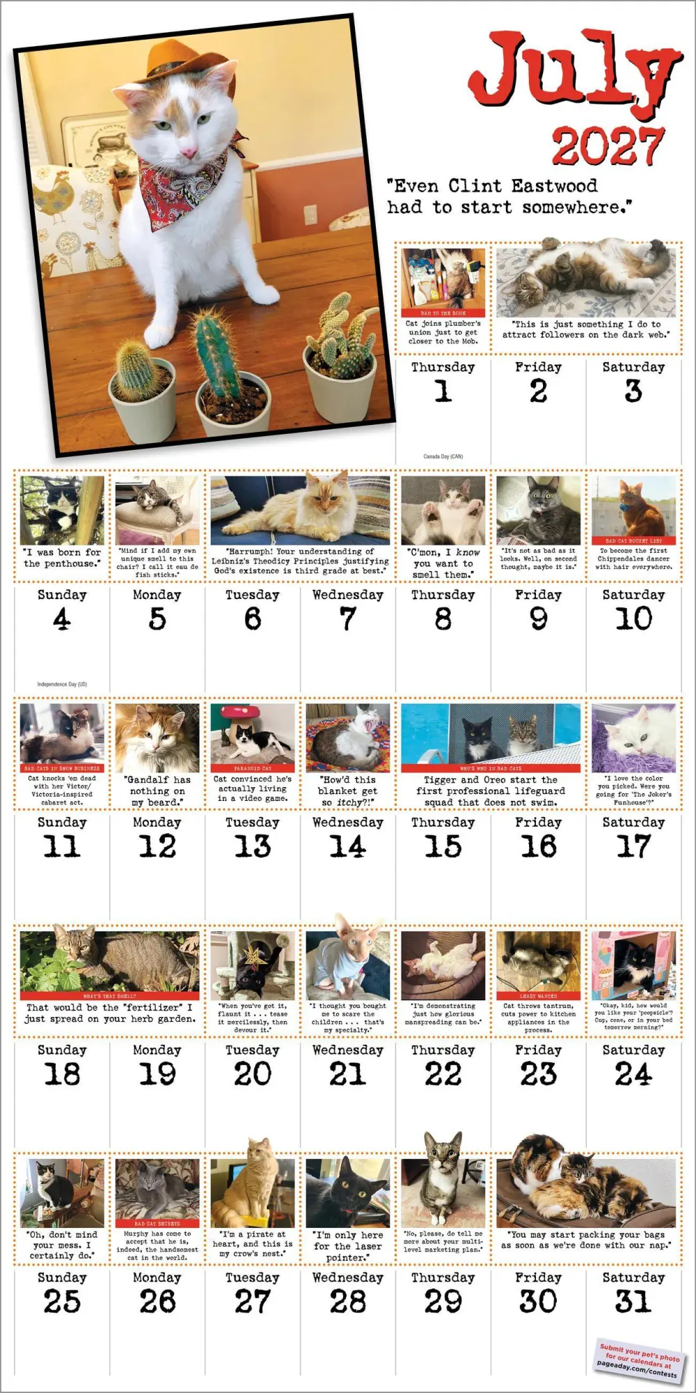 Bild: 9781523534739 | Bad Cat Wall Calendar 2027 | Harry Prichett (u. a.) | Kalender | 2027