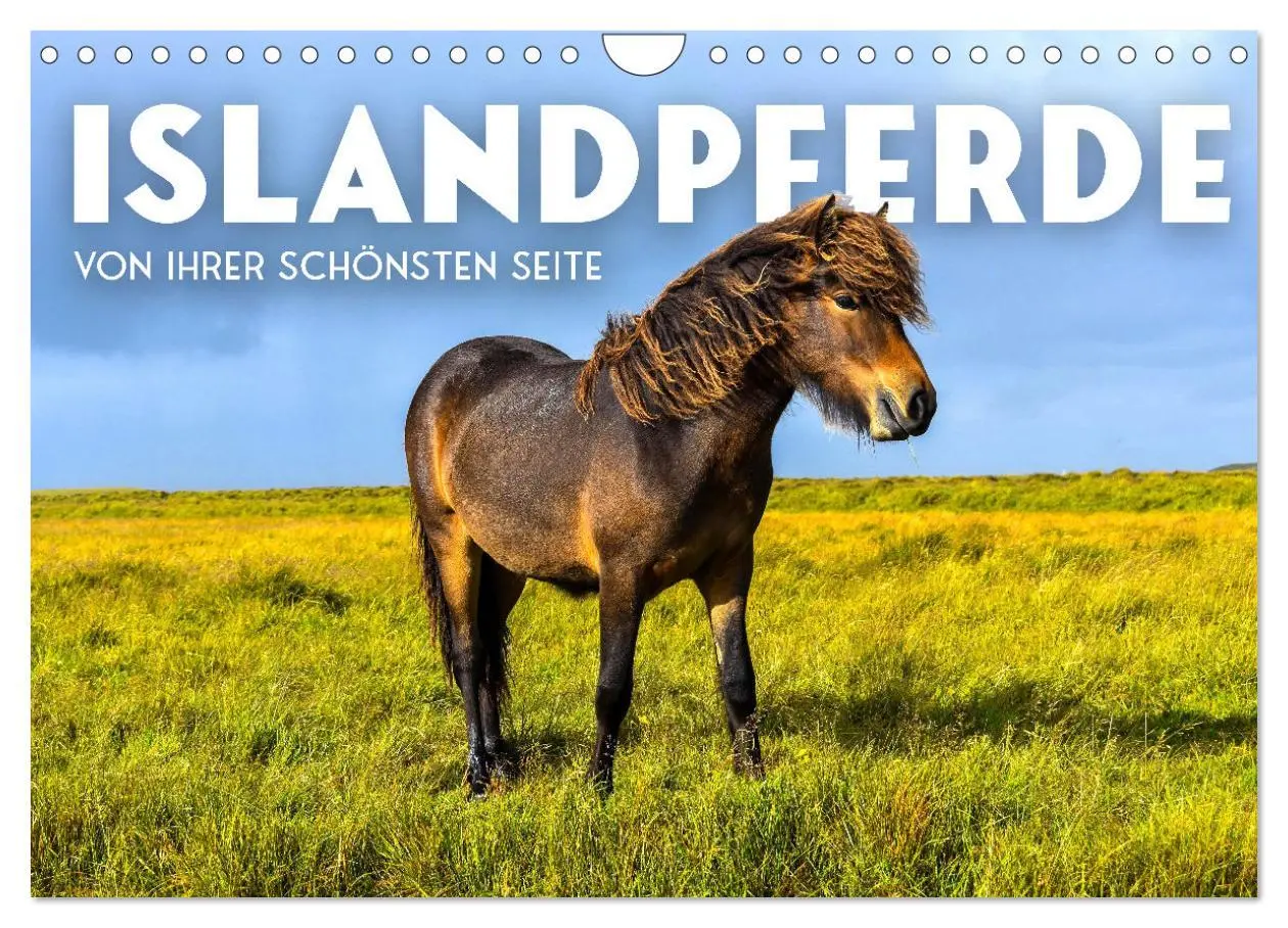 Cover: 9783457554739 | Islandpferde - Von ihrer schönsten Seite (Wandkalender 2026 DIN A4...