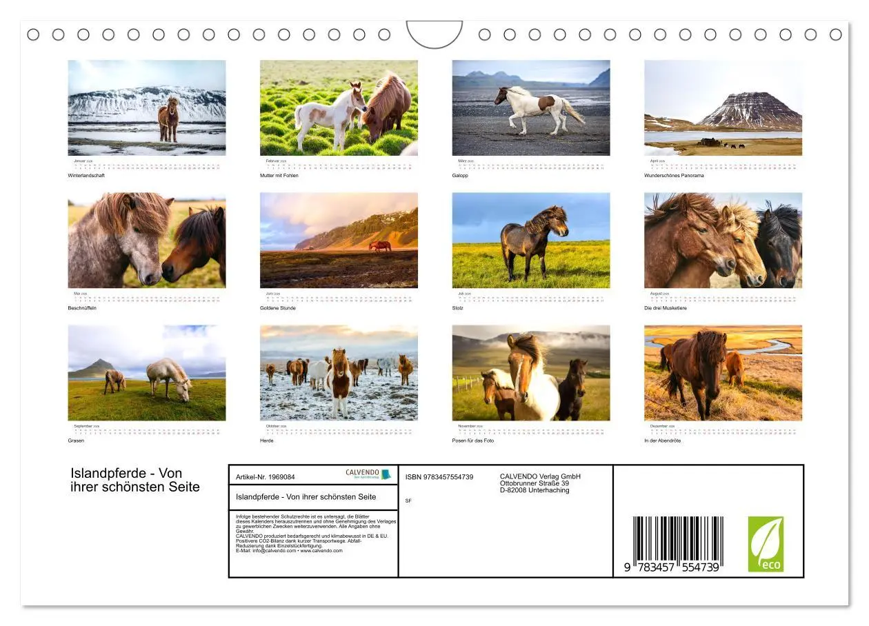 Bild: 9783457554739 | Islandpferde - Von ihrer schönsten Seite (Wandkalender 2026 DIN A4...
