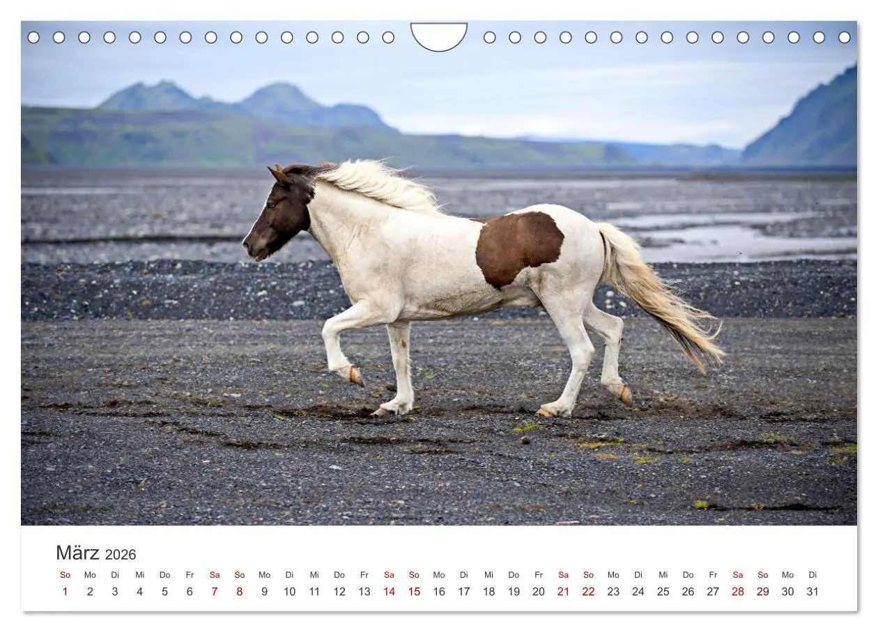 Bild: 9783457554739 | Islandpferde - Von ihrer schönsten Seite (Wandkalender 2026 DIN A4...