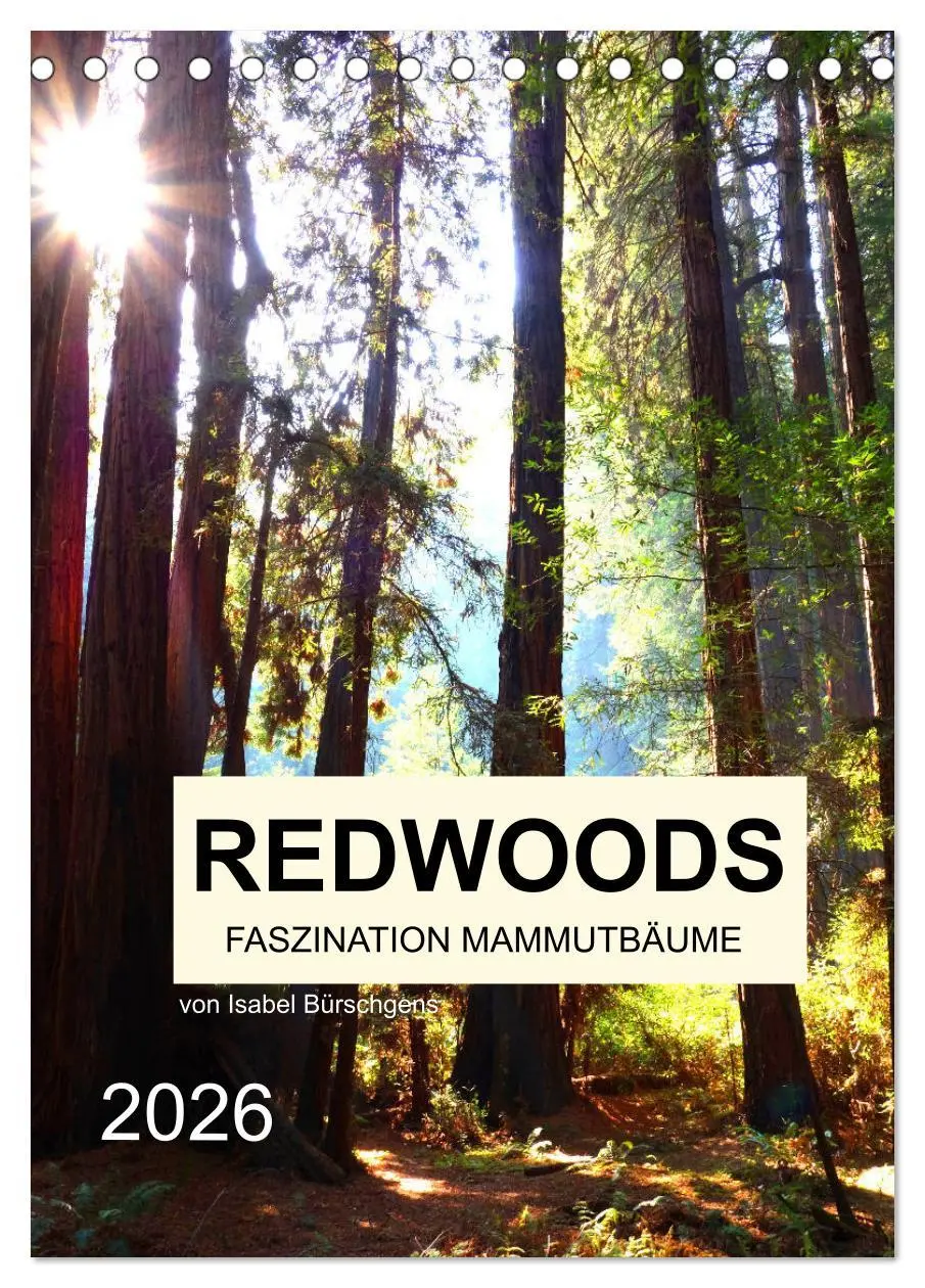 Cover: 9783516404739 | Redwoods - Faszination Mammutbäume (Tischkalender 2026 DIN A5...