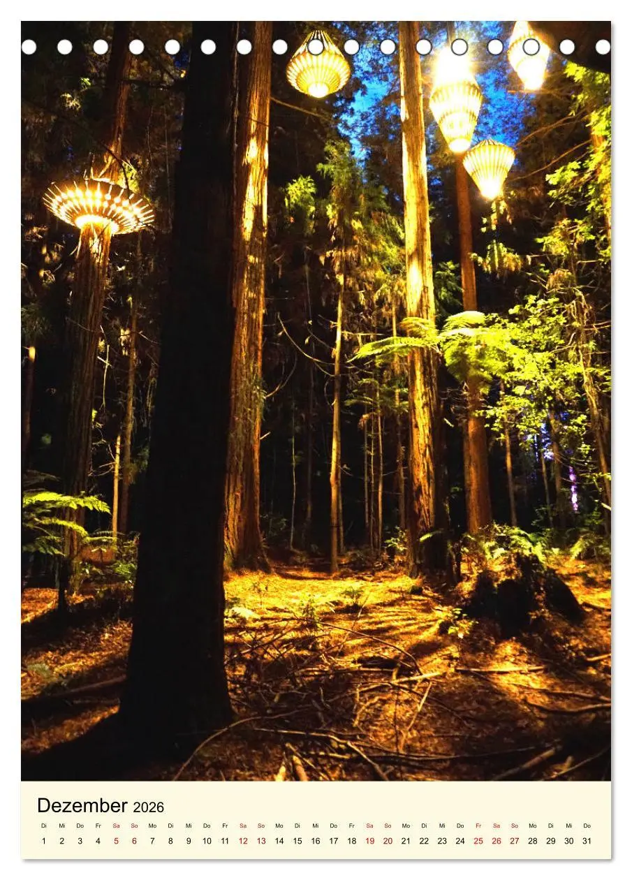 Bild: 9783516404739 | Redwoods - Faszination Mammutbäume (Tischkalender 2026 DIN A5...