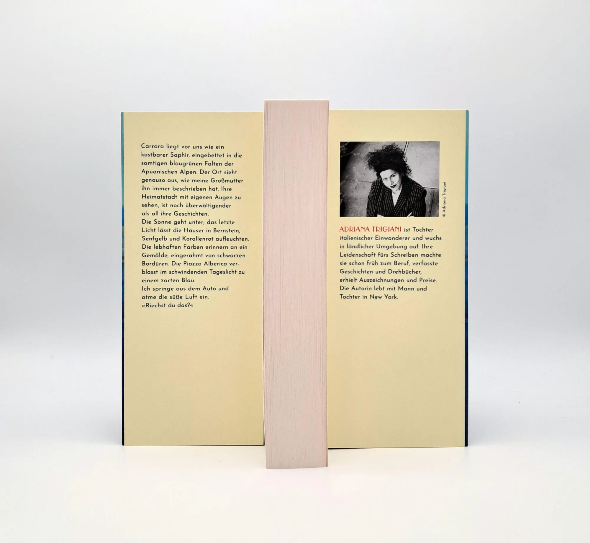 Bild: 9783423264839 | Der Himmel über Carrara | Adriana Trigiani | Taschenbuch | 416 S.