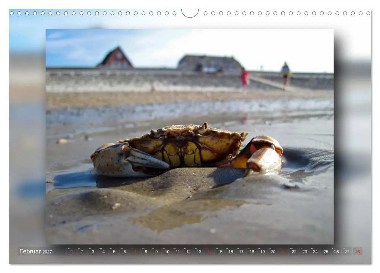 Bild: 9783594094839 | Baltrum - Ein Tag am Strand (Wandkalender 2027 DIN A3 quer),...