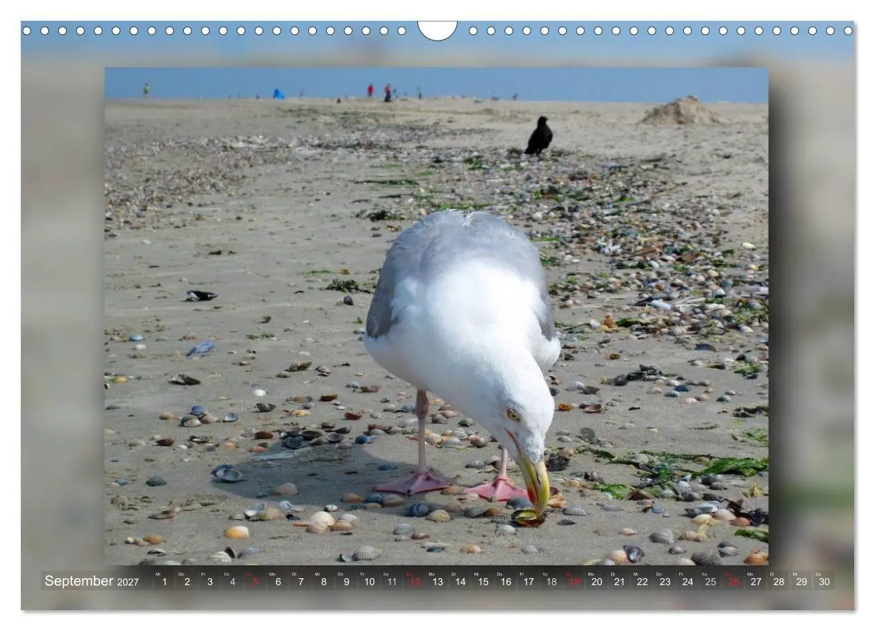 Bild: 9783594094839 | Baltrum - Ein Tag am Strand (Wandkalender 2027 DIN A3 quer),...