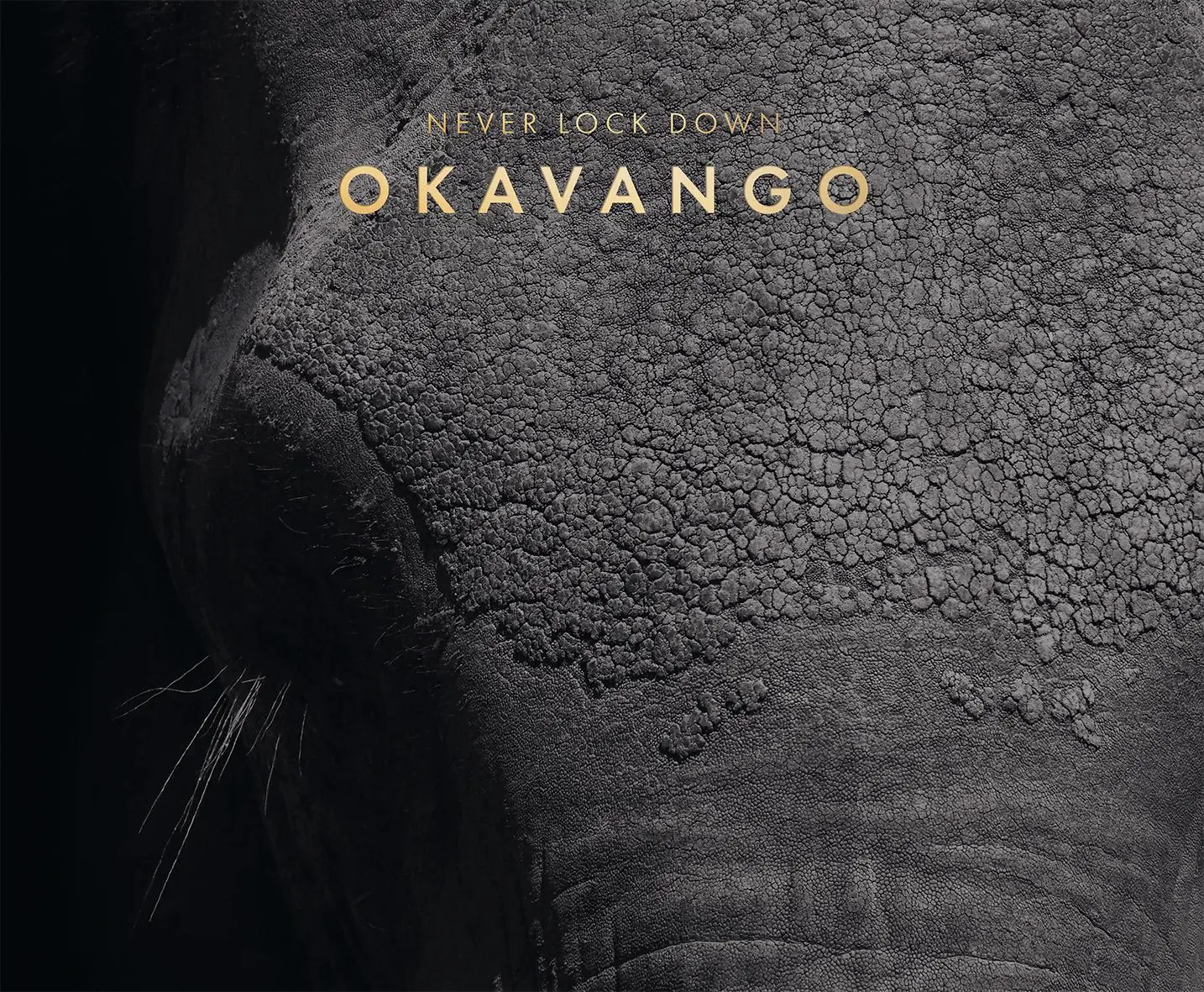 Cover: 9783205214939 | Never lock down Okavango | Bettina Rumpf | Buch | 337 S. | Deutsch