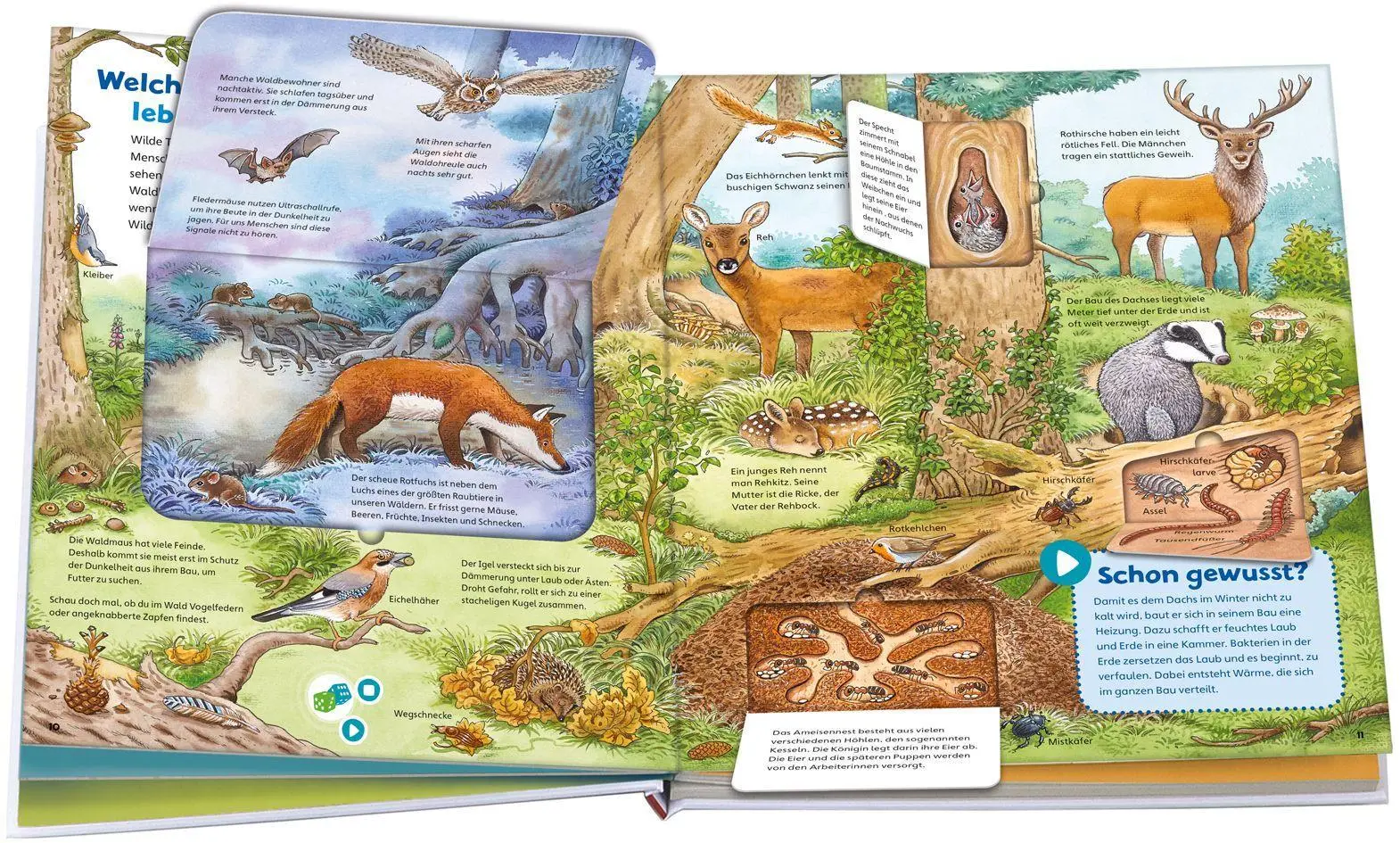 Bild: 9783788674939 | BOOKii® WAS IST WAS Junior Erlebe die Natur! | Christina Braun (u. a.)