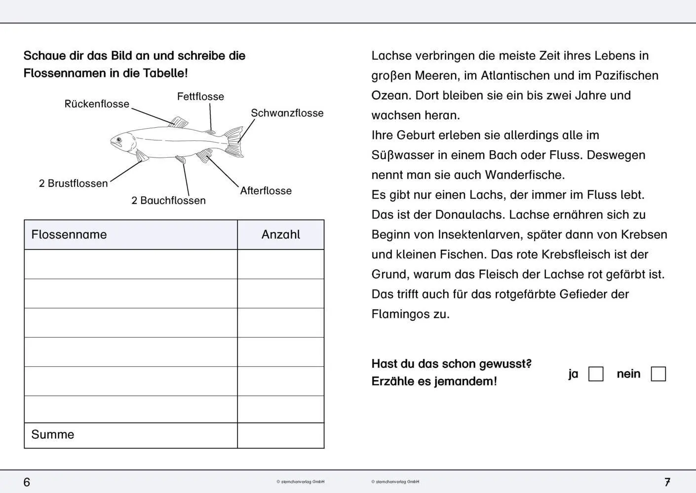 Bild: 9783946904939 | Ich kenne den Lachs - Lebenszyklus | sternchenverlag GmbH (u. a.)