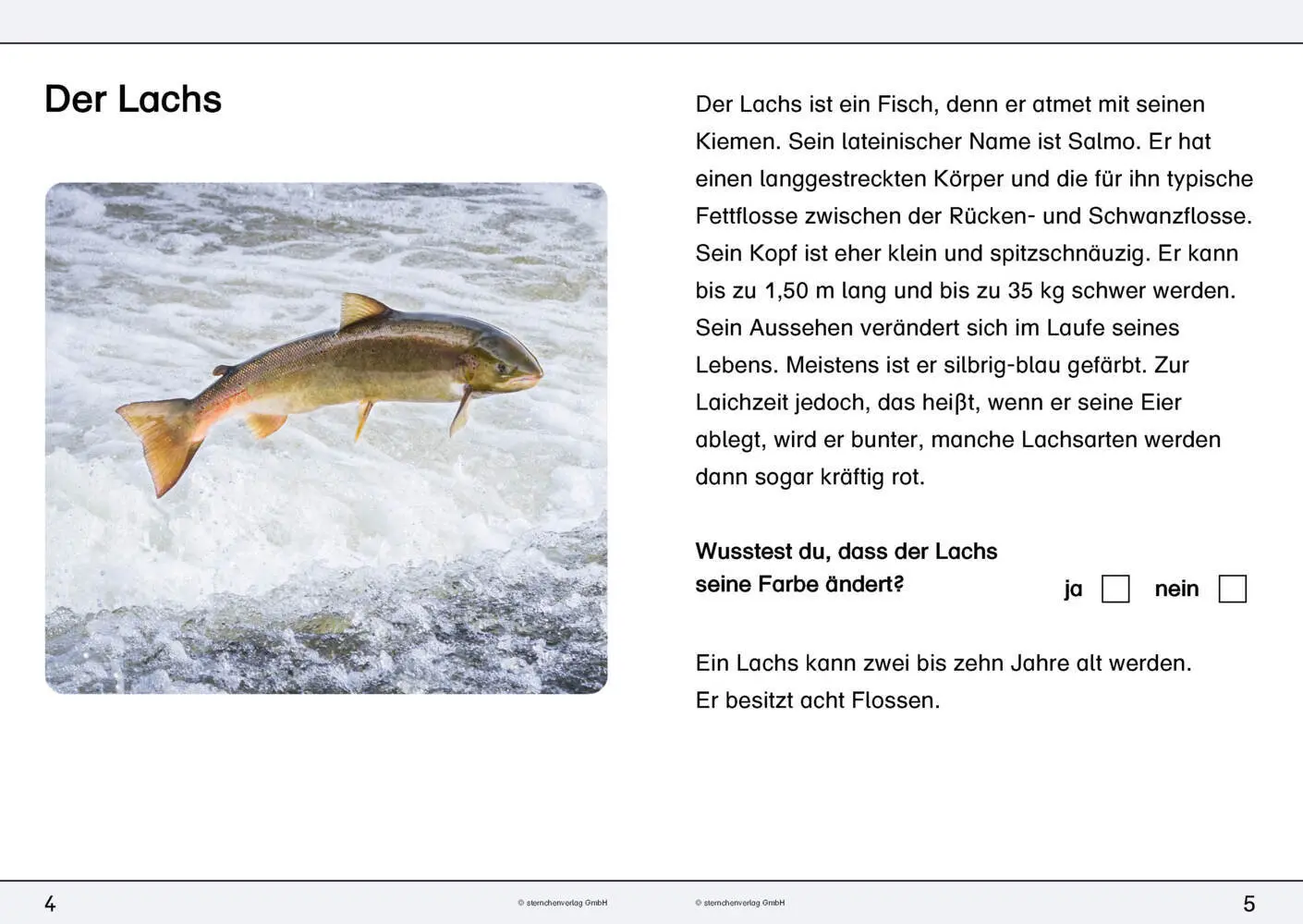 Bild: 9783946904939 | Ich kenne den Lachs - Lebenszyklus | sternchenverlag GmbH (u. a.)