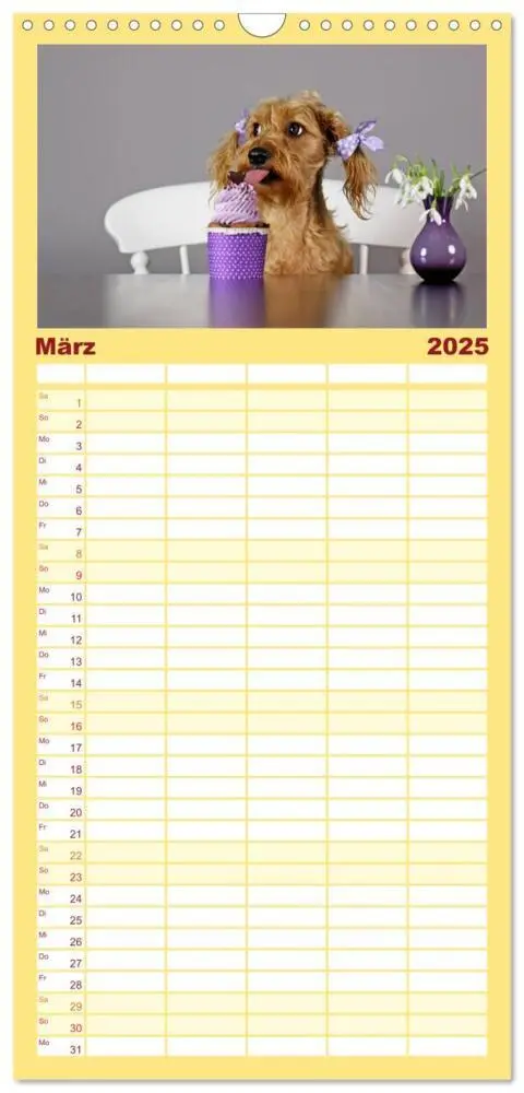 Bild: 9783457115039 | Familienplaner 2025 - DACKELmix Elli Pirelli mit 5 Spalten...