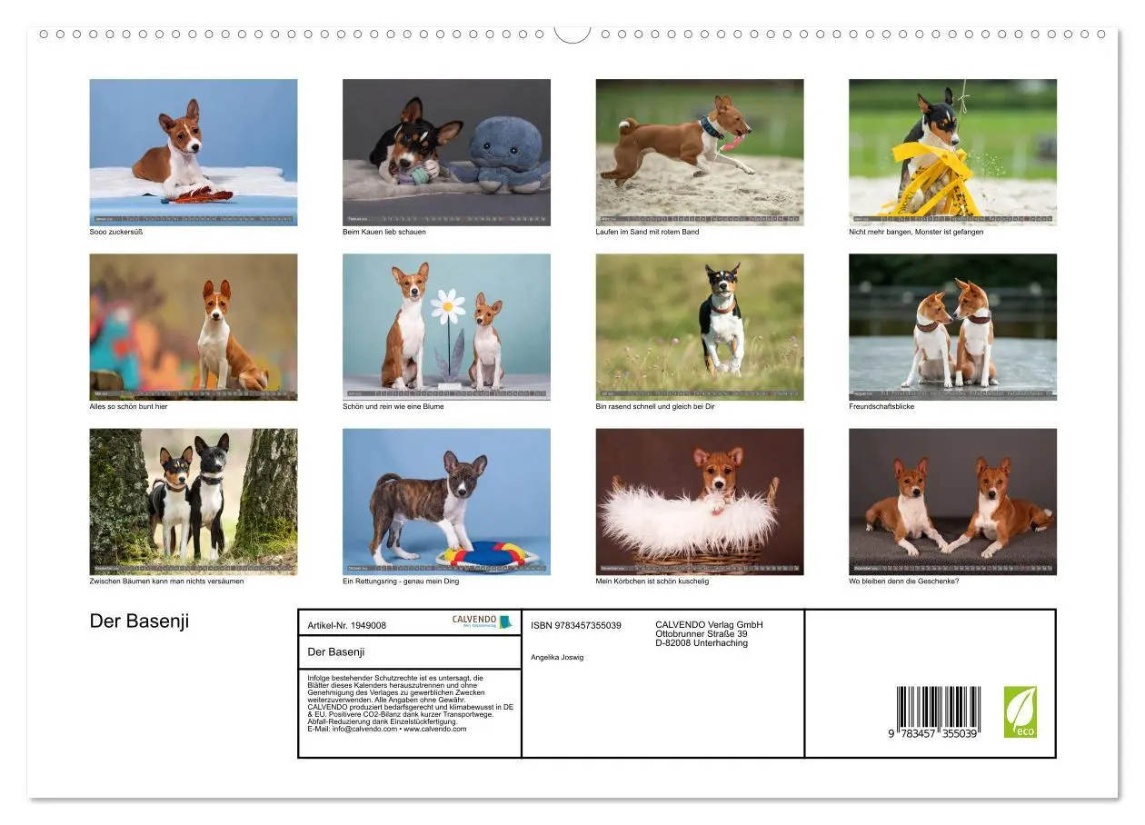 Bild: 9783457355039 | Der Basenji (hochwertiger Premium Wandkalender 2026 DIN A2 quer),...