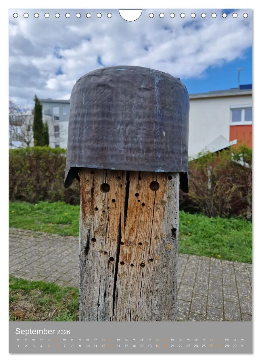 Bild: 9783516375039 | Gesichter im Alltag (Wandkalender 2026 DIN A4 hoch), CALVENDO...