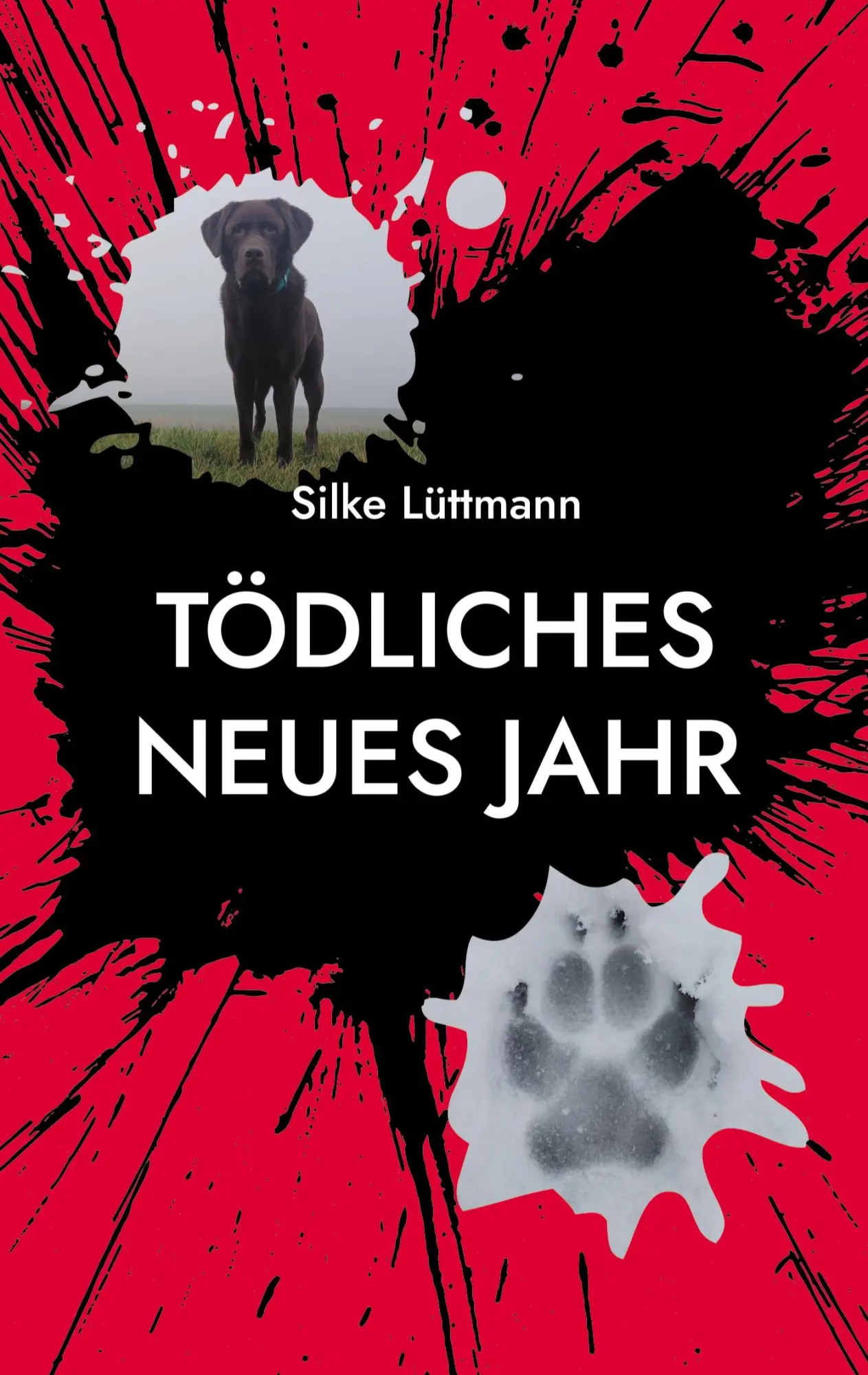 Cover: 9783695715039 | Tödliches neues Jahr | Ein Ammerland Krimi | Silke Lüttmann | Buch