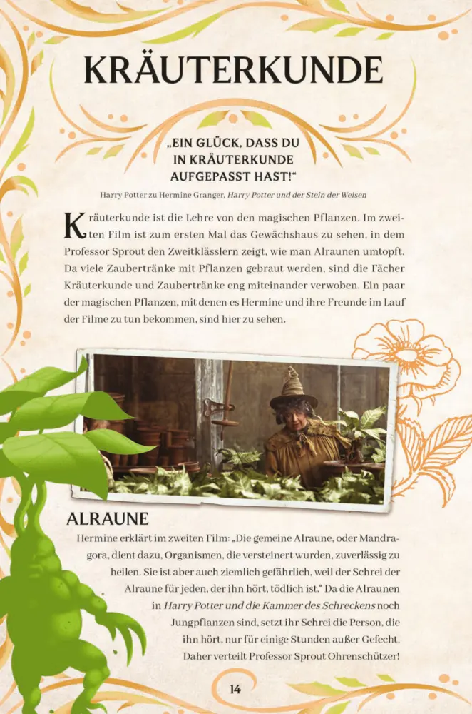 Bild: 9783833245039 | Aus den Filmen zu Harry Potter: Zaubersprüche &amp; Zaubertränke | Spinner