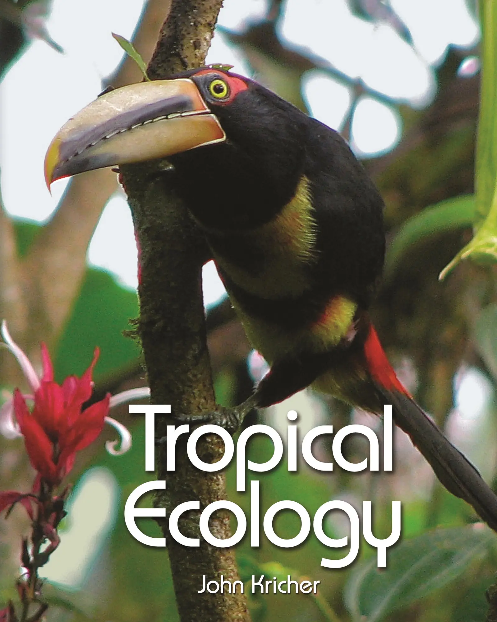 Cover: 9780691115139 | Tropical Ecology | John C Kricher | Buch | Einband - fest (Hardcover)