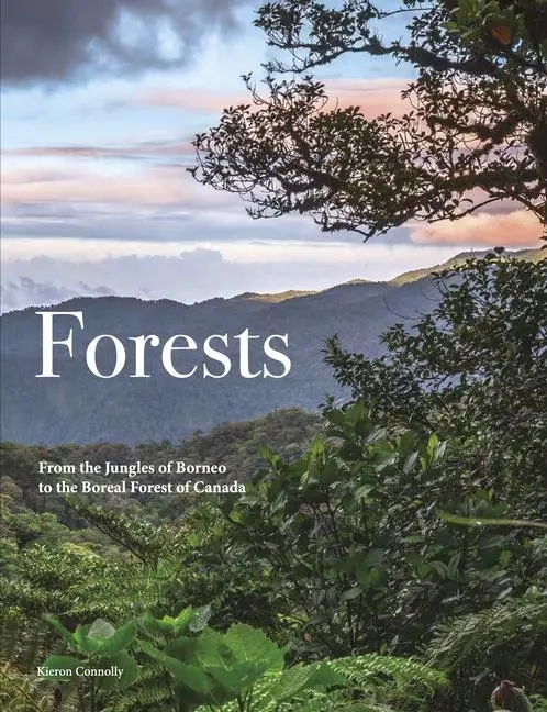 Cover: 9781838865139 | Forests | Kieron Connolly | Buch | Englisch | 2025 | Amber Books