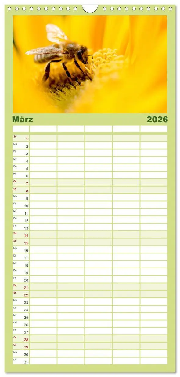 Bild: 9783516505139 | Familienplaner 2026 - Die Welt der fleißigen Bienen mit 5 Spalten...