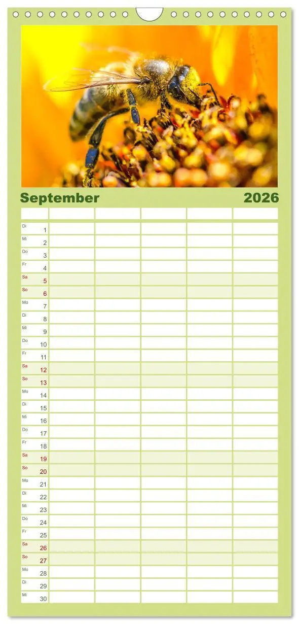Bild: 9783516505139 | Familienplaner 2026 - Die Welt der fleißigen Bienen mit 5 Spalten...