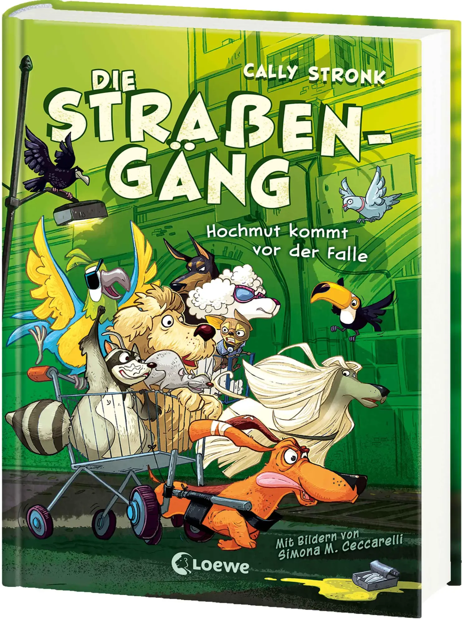 Cover: 9783743215139 | Die Straßengäng (Band 3) - Hochmut kommt vor der Falle | Cally Stronk