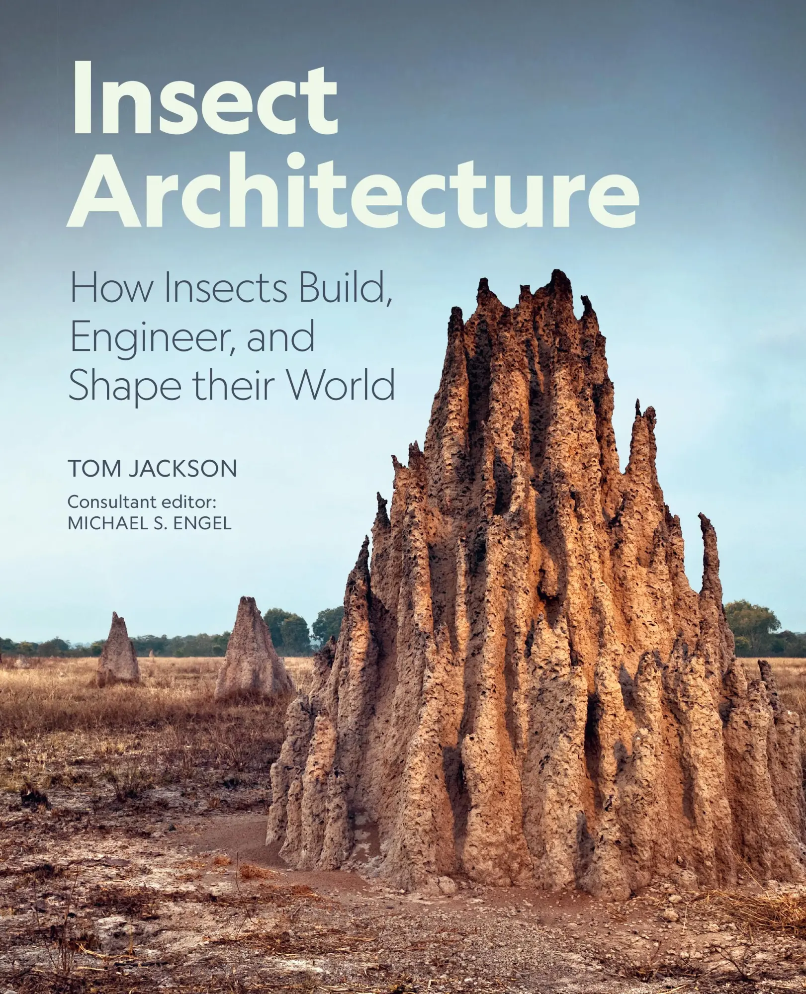Cover: 9780691275239 | Insect Architecture | Michael S Engel (u. a.) | Buch | Englisch | 2025 Cover: 9780691275239 | Insect Architecture | Michael S Engel (u. a.) | Buch | Englisch | 2025