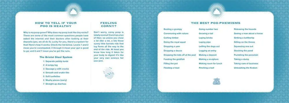 Bild: 9781454945239 | The Loo Ledger: Record Your Thoughts from the Throne | Co. | Buch