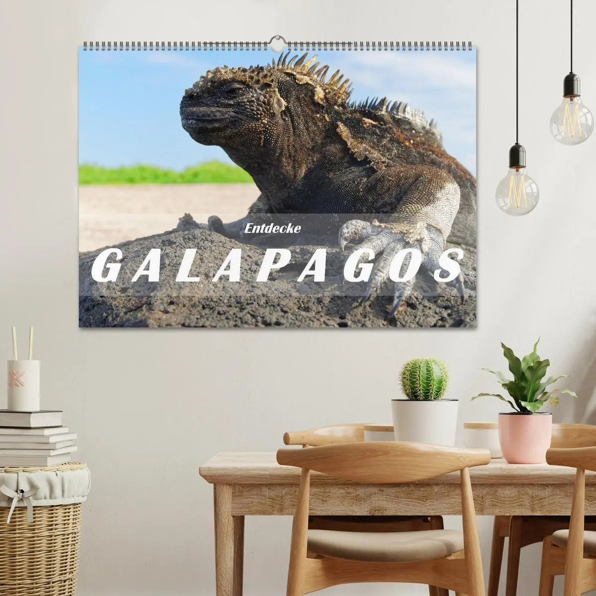 Bild: 9783457405239 | Entdecke Galapagos (Wandkalender 2026 DIN A2 quer), CALVENDO...