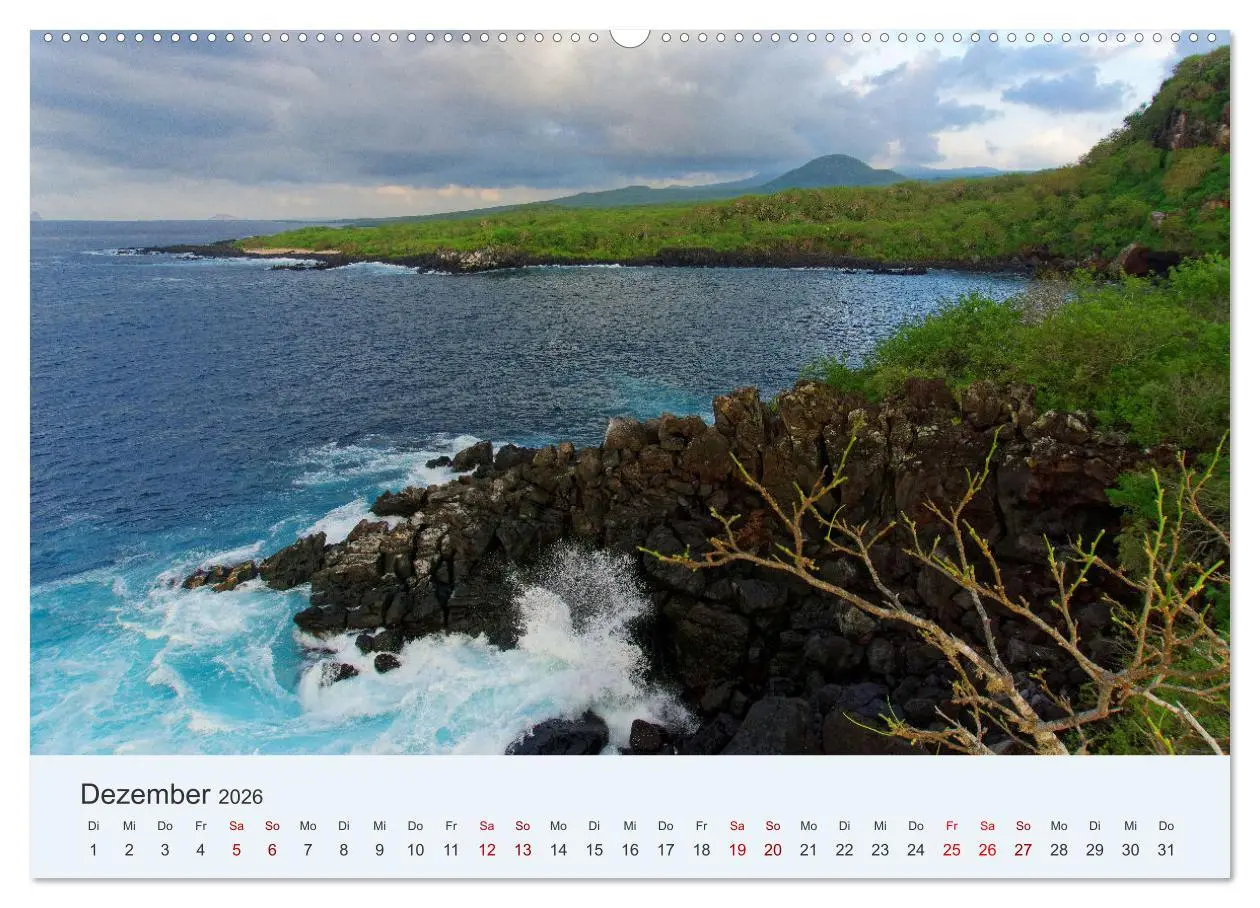 Bild: 9783457405239 | Entdecke Galapagos (Wandkalender 2026 DIN A2 quer), CALVENDO...