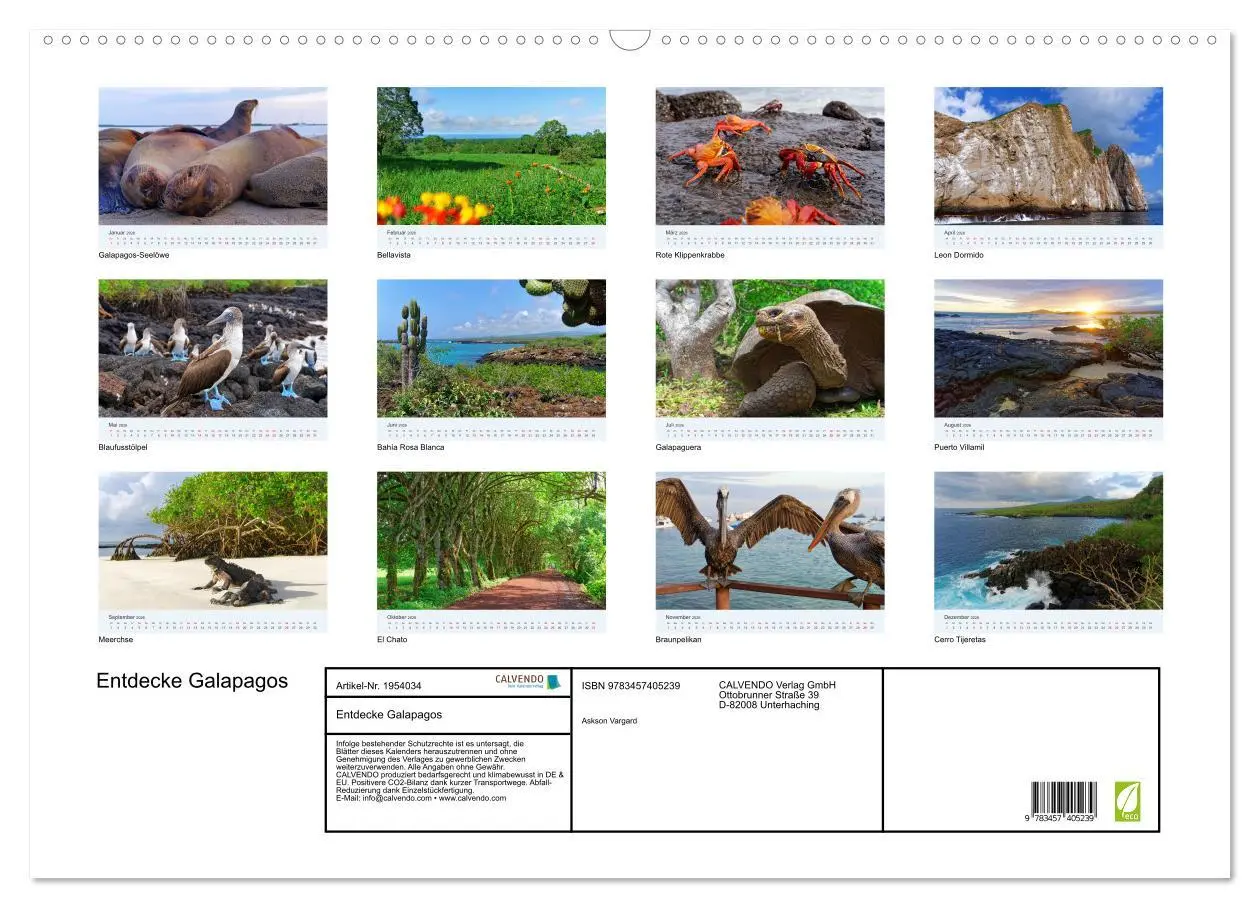 Bild: 9783457405239 | Entdecke Galapagos (Wandkalender 2026 DIN A2 quer), CALVENDO...