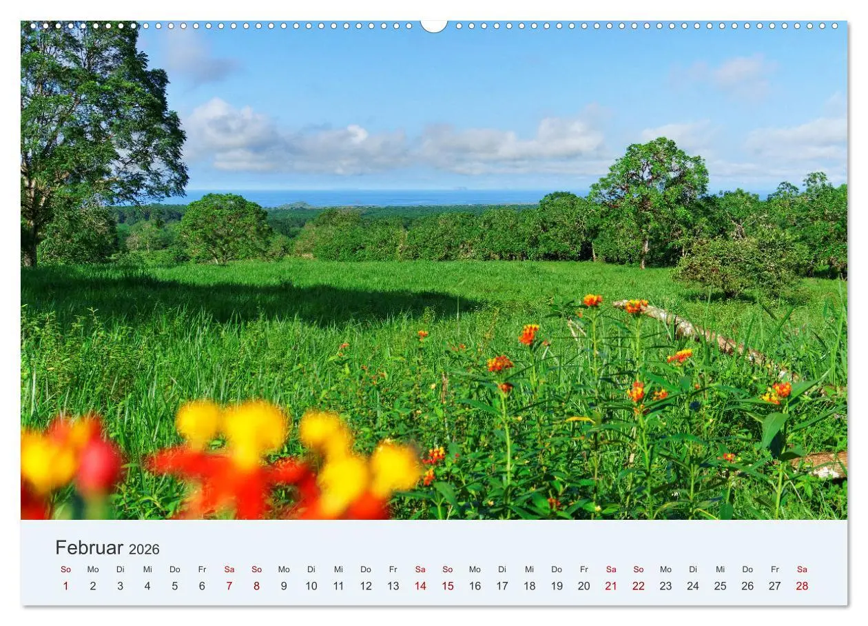 Bild: 9783457405239 | Entdecke Galapagos (Wandkalender 2026 DIN A2 quer), CALVENDO...