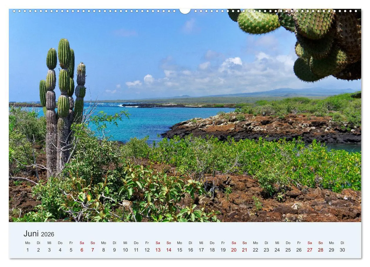 Bild: 9783457405239 | Entdecke Galapagos (Wandkalender 2026 DIN A2 quer), CALVENDO...