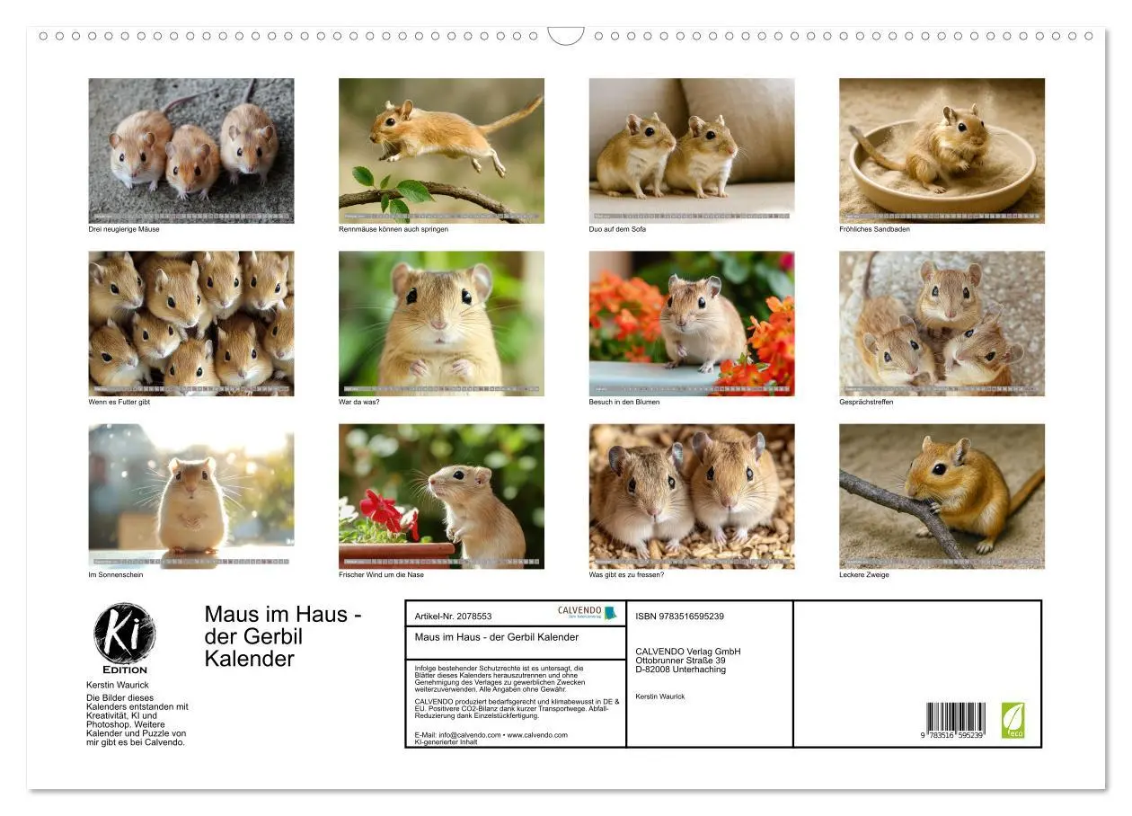 Bild: 9783516595239 | Maus im Haus - der Gerbil Kalender (Wandkalender 2026 DIN A2 quer),...