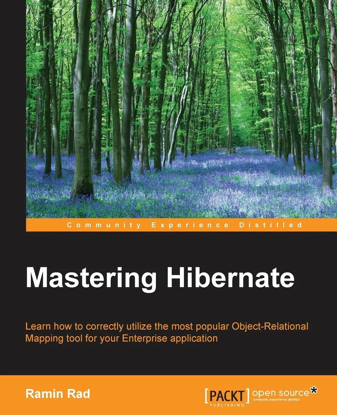 Cover: 9781782175339 | Mastering Hibernate | Ramin Rad | Taschenbuch | Englisch | 2016