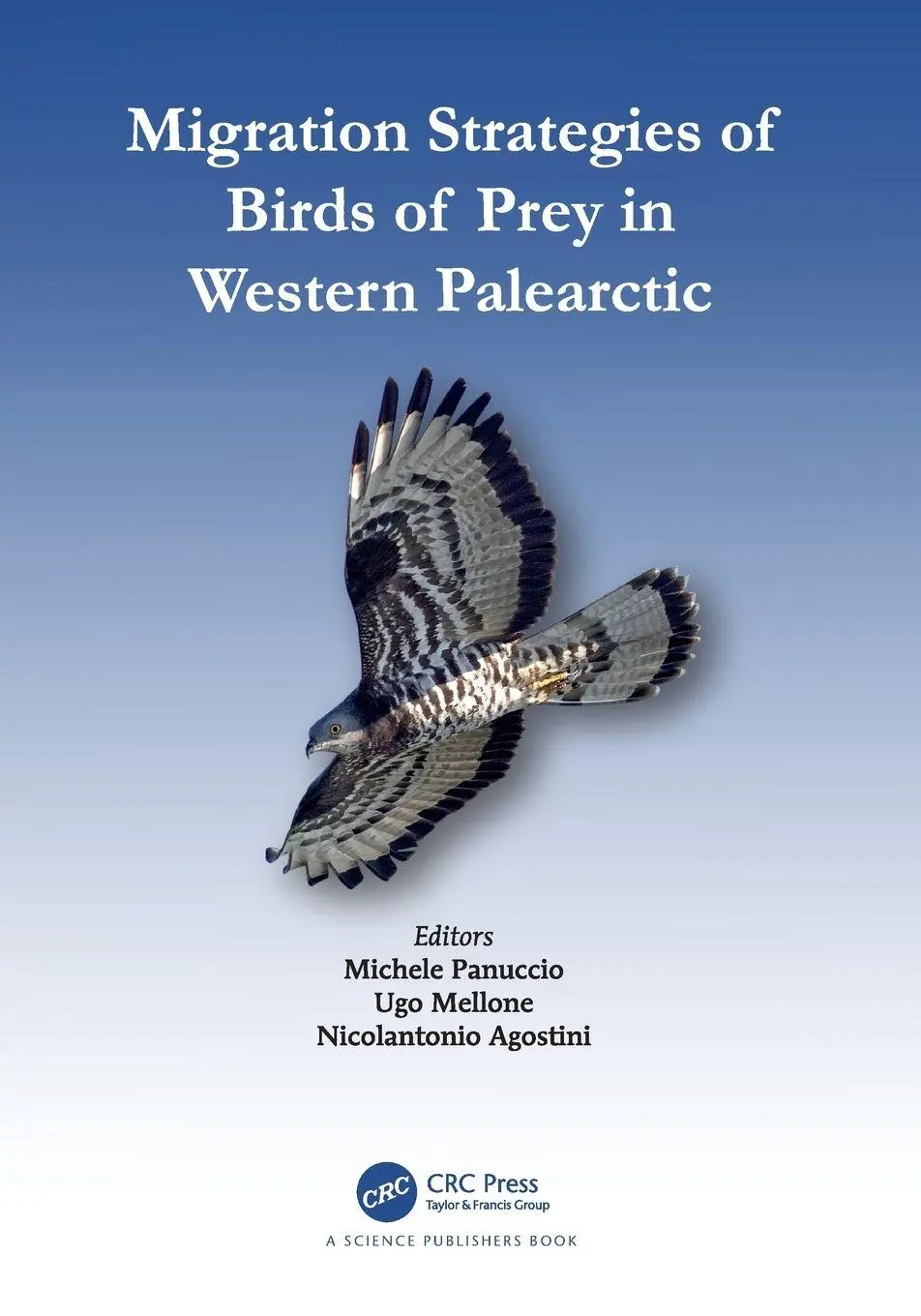Cover: 9780367765439 | Migration Strategies of Birds of Prey in Western Palearctic | Buch