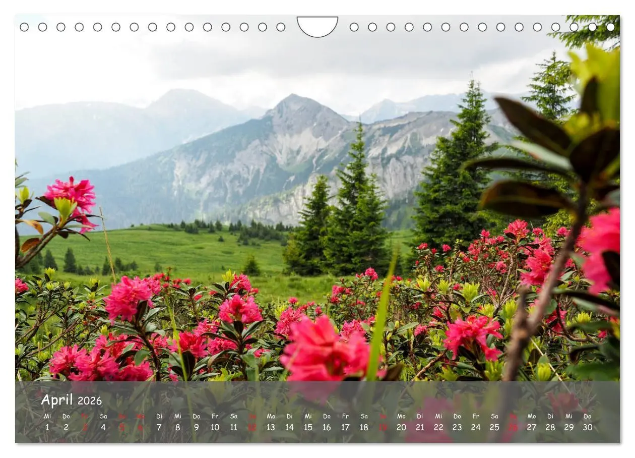 Bild: 9783457795439 | Ammergauer Alpen (Wandkalender 2026 DIN A4 quer), CALVENDO...