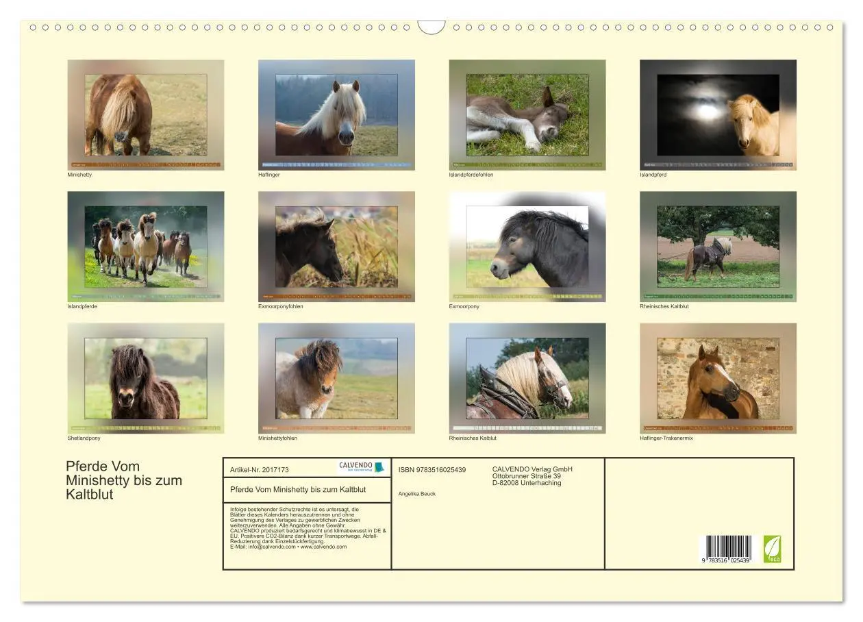 Bild: 9783516025439 | Pferde Vom Minishetty bis zum Kaltblut (Wandkalender 2026 DIN A2...