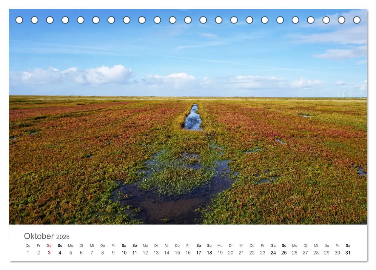 Bild: 9783457785539 | Nordfriesland (Tischkalender 2026 DIN A5 quer), CALVENDO...