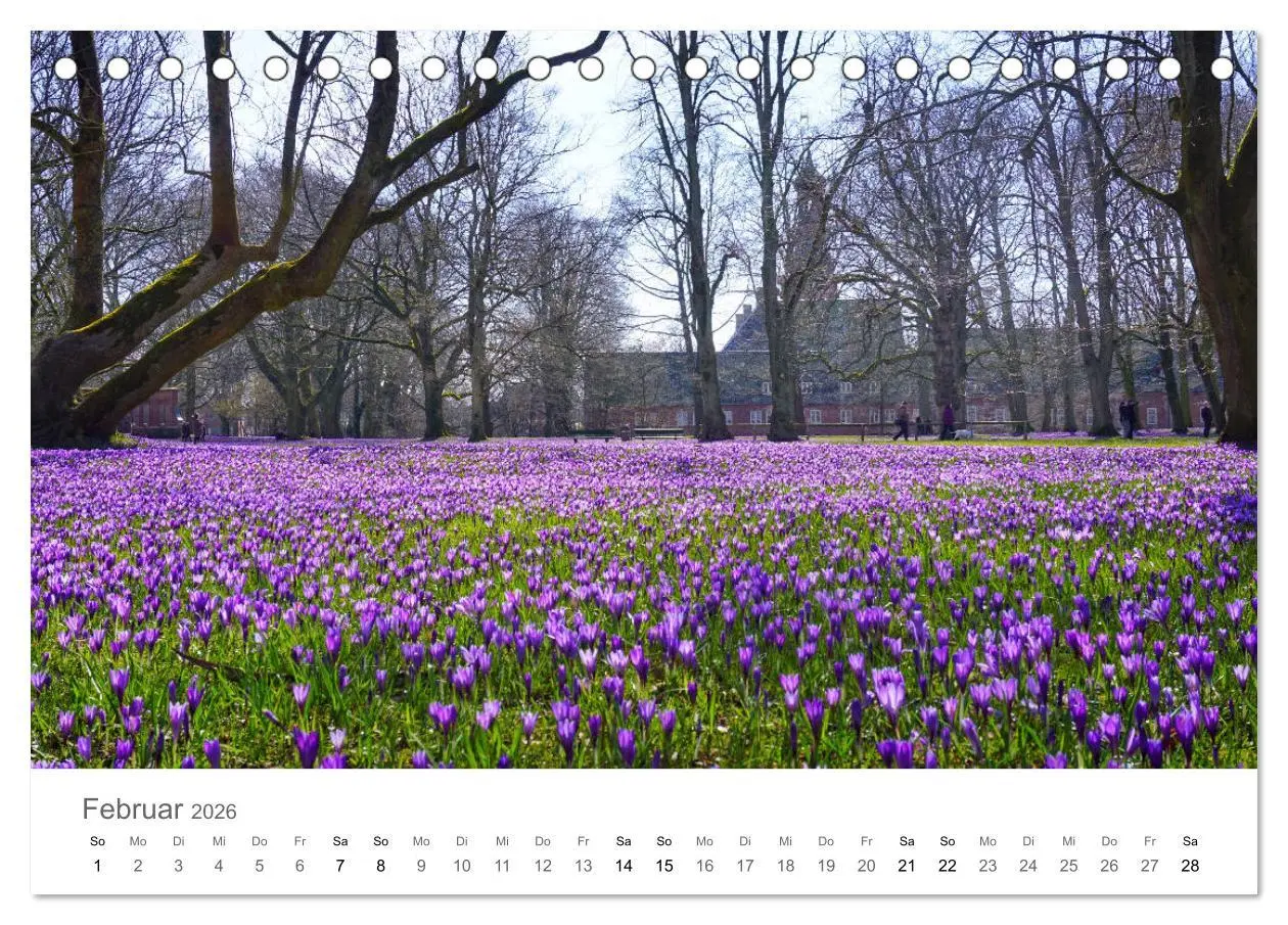 Bild: 9783457785539 | Nordfriesland (Tischkalender 2026 DIN A5 quer), CALVENDO...