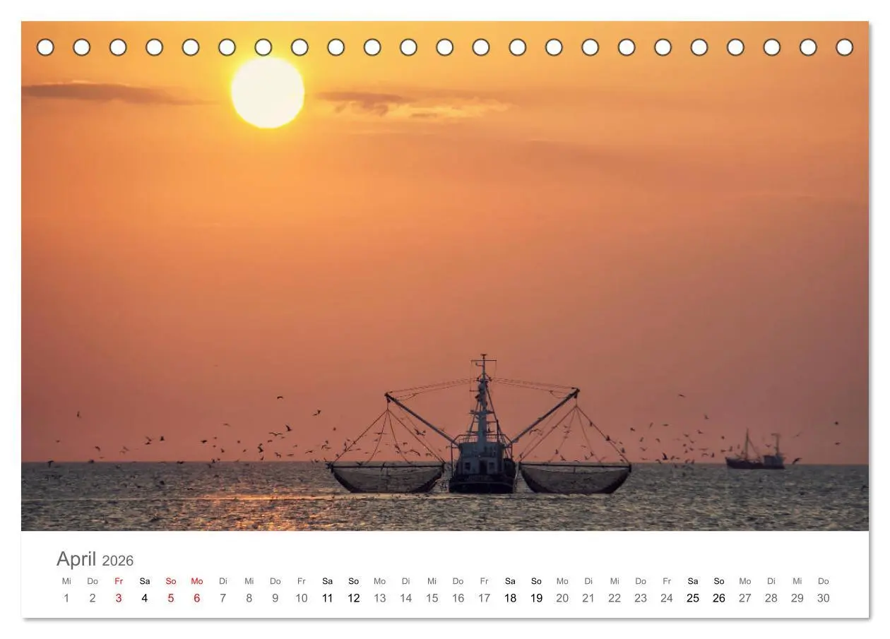 Bild: 9783457785539 | Nordfriesland (Tischkalender 2026 DIN A5 quer), CALVENDO...