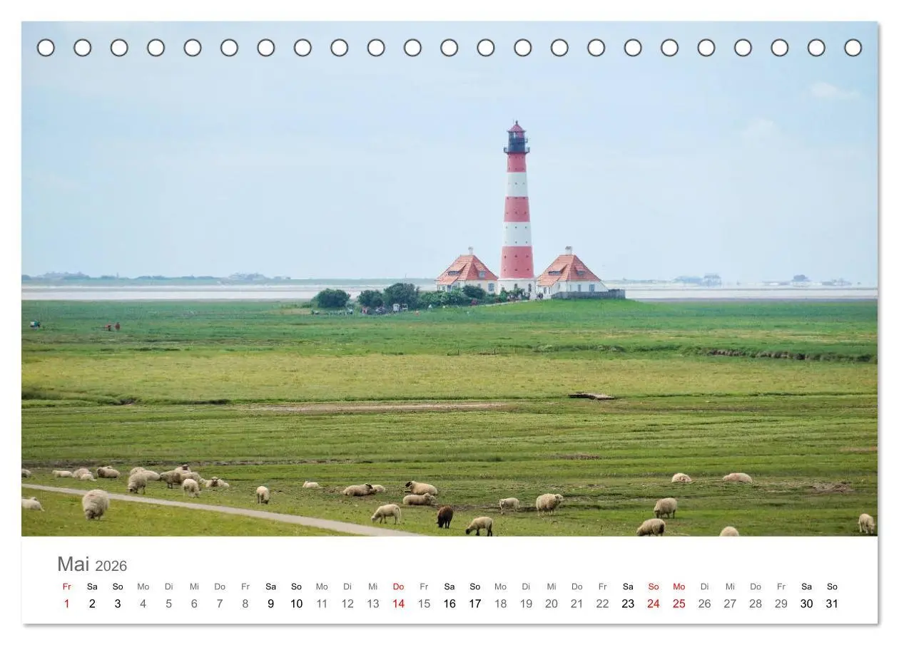 Bild: 9783457785539 | Nordfriesland (Tischkalender 2026 DIN A5 quer), CALVENDO...