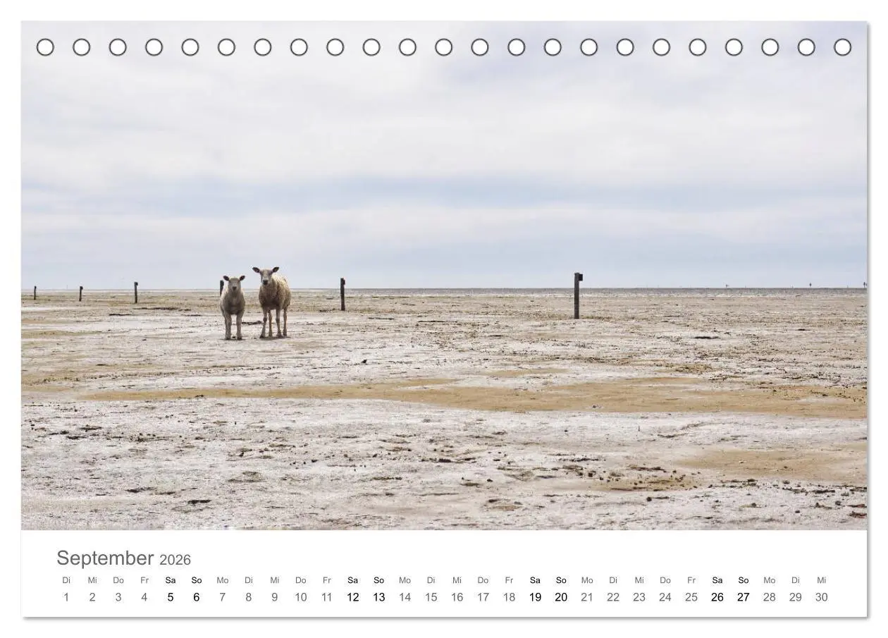 Bild: 9783457785539 | Nordfriesland (Tischkalender 2026 DIN A5 quer), CALVENDO...