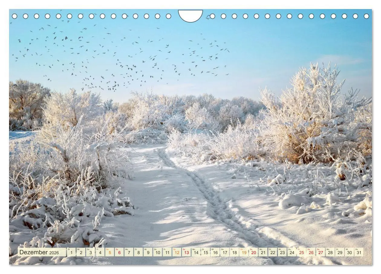 Bild: 9783457915639 | Traumwege entdecken (Wandkalender 2026 DIN A4 quer), CALVENDO...