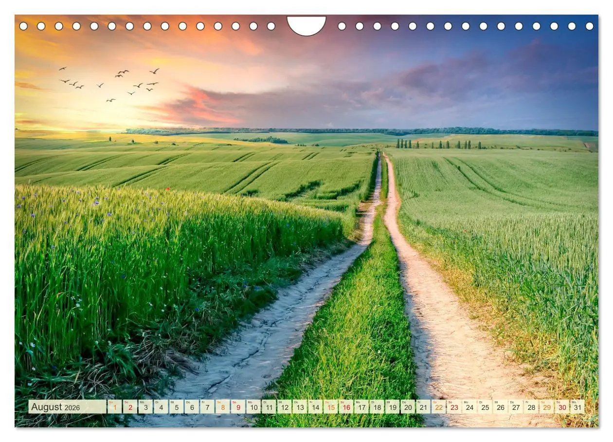 Bild: 9783457915639 | Traumwege entdecken (Wandkalender 2026 DIN A4 quer), CALVENDO...