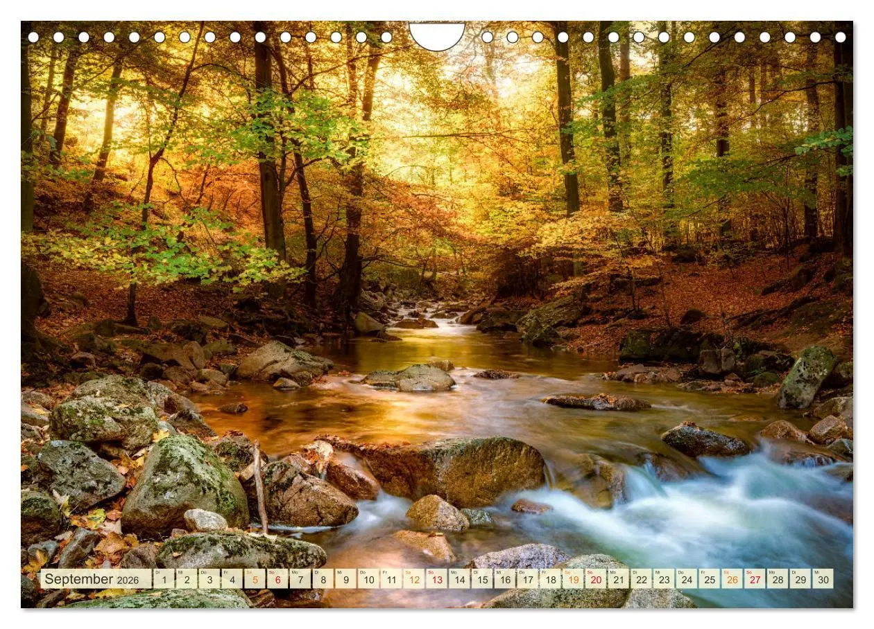 Bild: 9783457915639 | Traumwege entdecken (Wandkalender 2026 DIN A4 quer), CALVENDO...