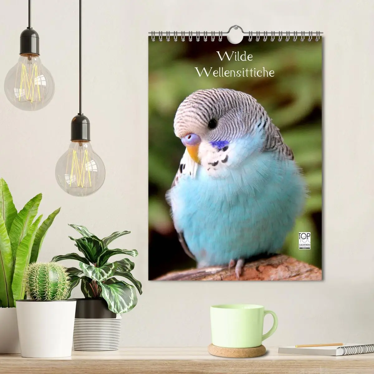 Bild: 9783516485639 | Wilde Wellensittiche (Wandkalender 2026 DIN A4 hoch), CALVENDO...
