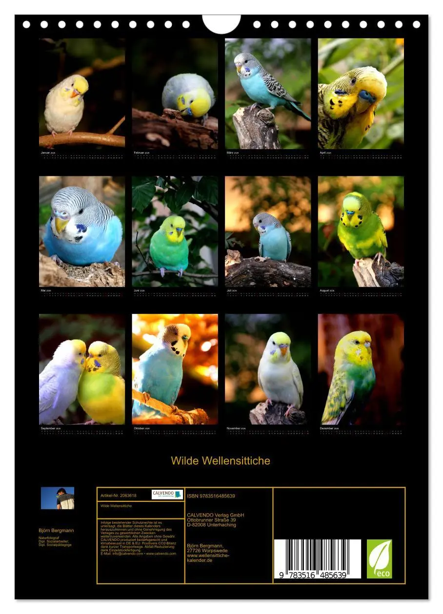 Bild: 9783516485639 | Wilde Wellensittiche (Wandkalender 2026 DIN A4 hoch), CALVENDO...