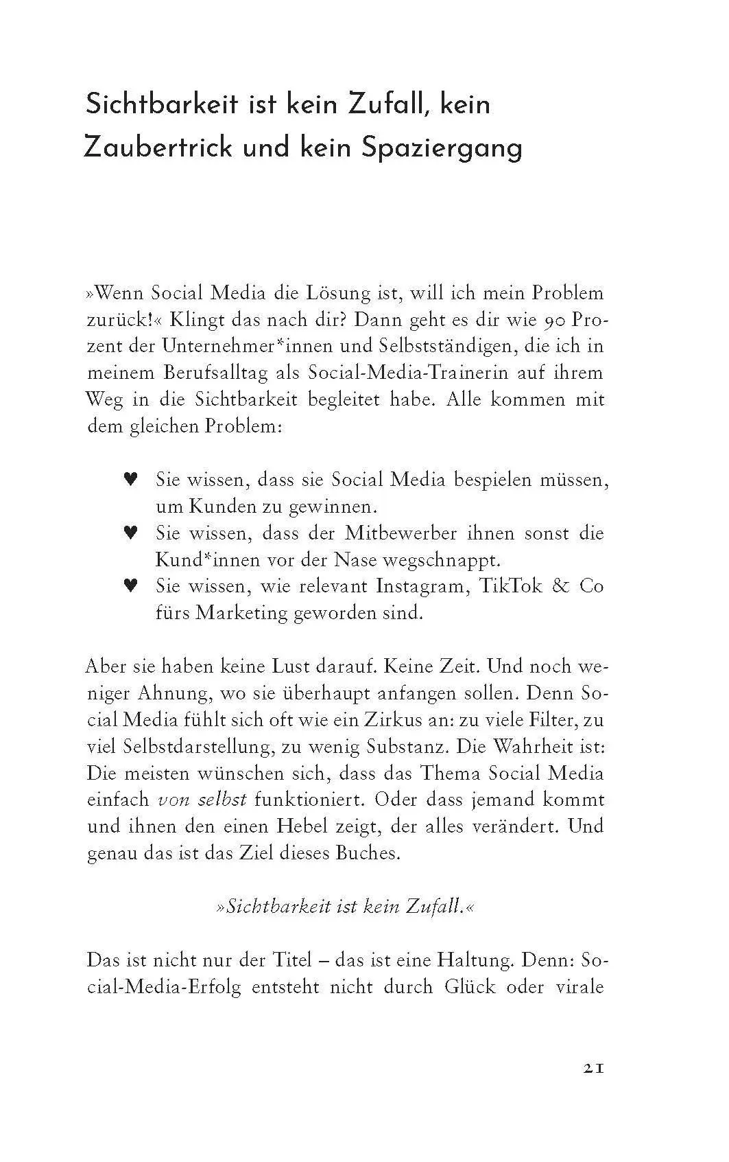 Bild: 9783990605639 | Sichtbarkeit ist kein Zufall | Delphine Rotheneder | Taschenbuch