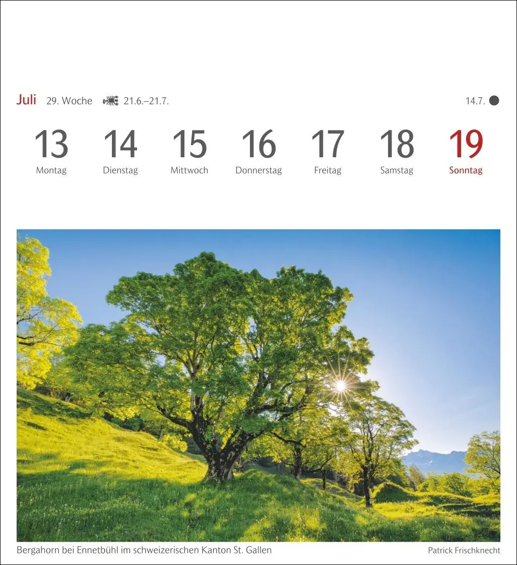 Bild: 9783840035739 | Lichtblicke Postkartenkalender 2026 - Wochenkalender mit 53 Postkarten